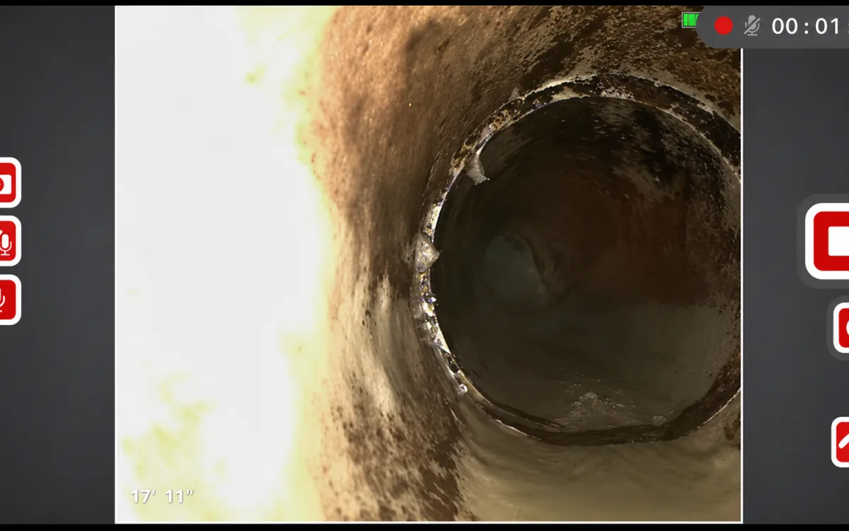 5 Warning Signs of a Failing Sewer Line